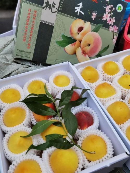 姜同学娱乐小号吃瓜